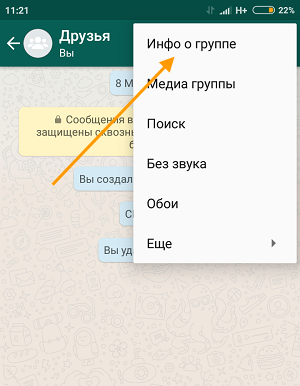 Как поменять админа в группе ватсап. Стать админом в ватсапе без разрешения. Как удалить человека из группы в ватсапе. Удаленный человек из группы в ватсапе. Как стать админом в группе в ватсапе.