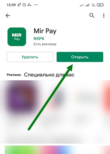Мобильный платежный сервис Mir Pay
